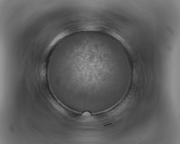 X0000113781450200910071214