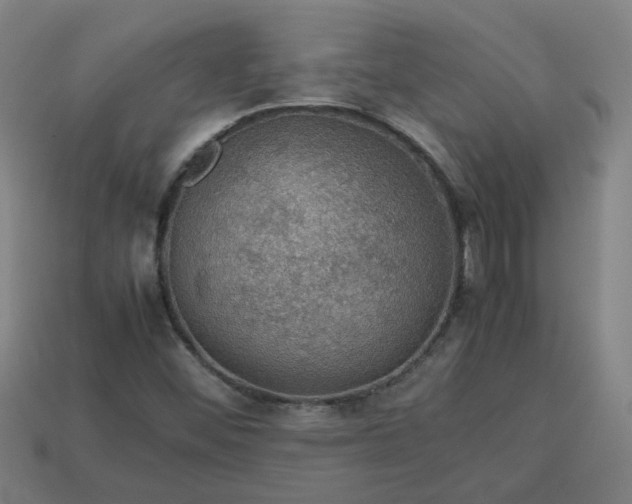 X0000113781452200910071214