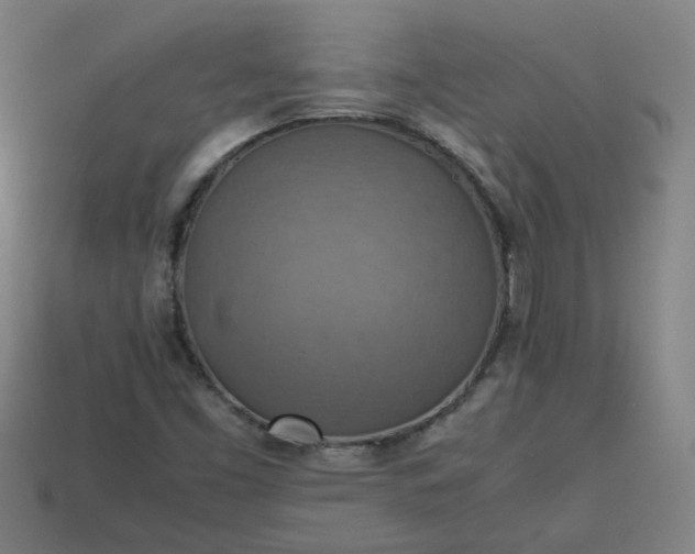 X0000113781453200910071214