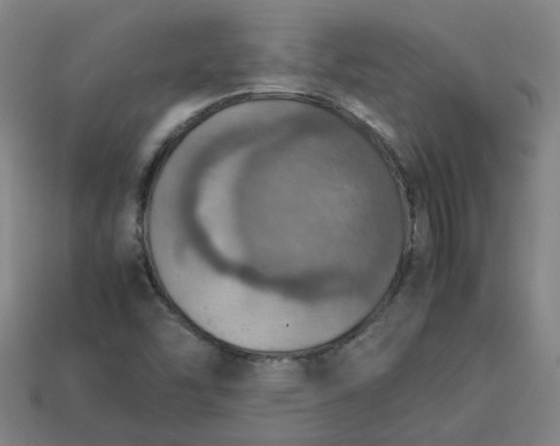 X0000113781454200910071214