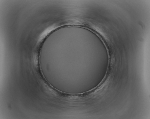 X0000113781455200910071214