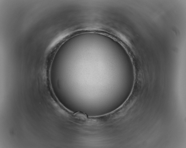 X0000113781456200910071214