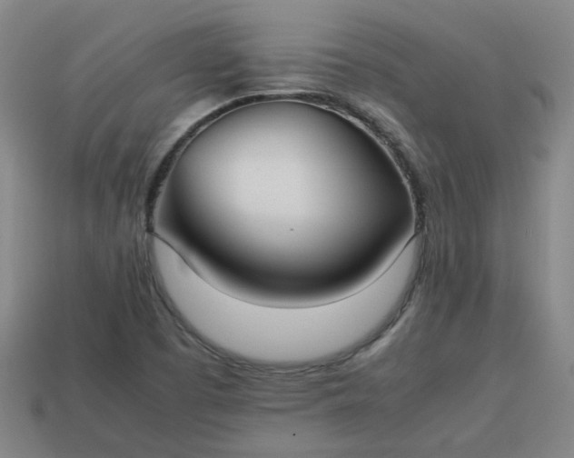 X0000113781457200910071214