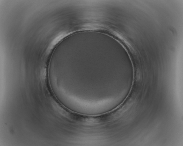 X0000113781459200910071214