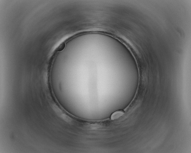 X0000113781460200910071214