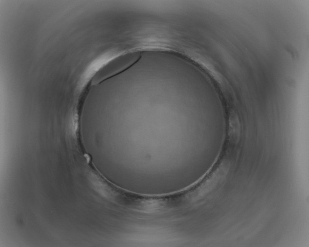 X0000113781461200910071214