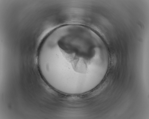 X0000113781462200910071214