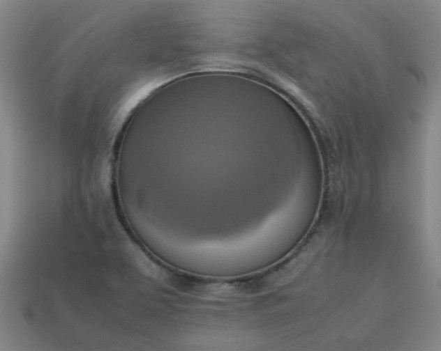 X0000113781463200910071214