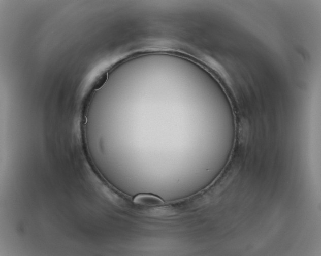 X0000113781464200910071214