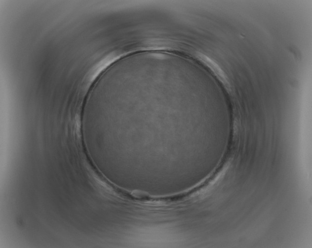 X0000113781465200910071214