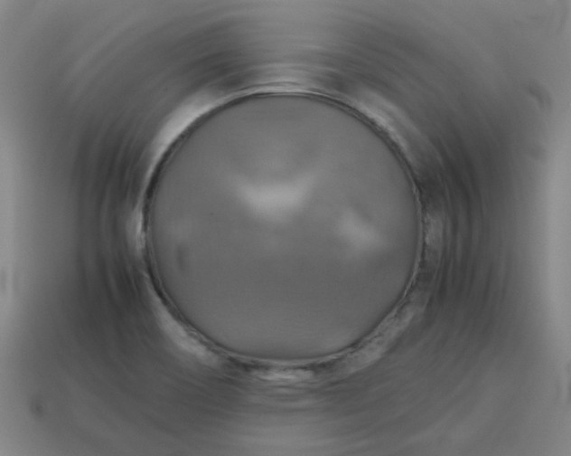 X0000113781466200910071214