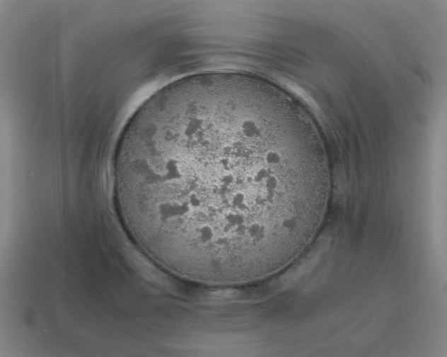 X0000113781467200910071214