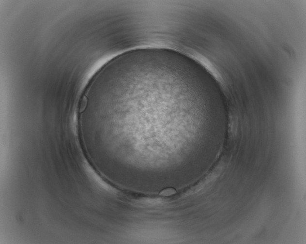 X0000113781468200910071214