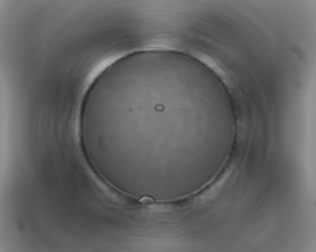 X0000113781469200910071214