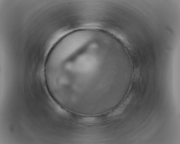 X0000113781470200910071214