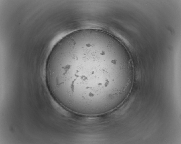 X0000113781471200910071214