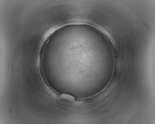 X0000113781472200910071214