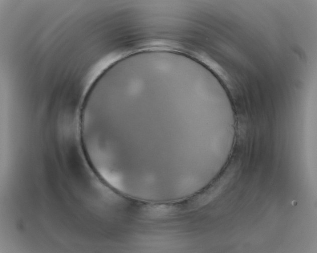 X0000113781474200910071214