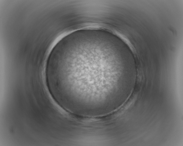 X0000113781475200910071213