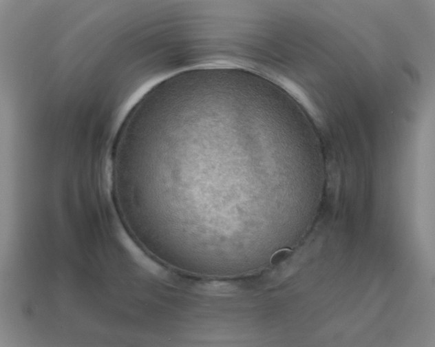 X0000113781476200910071213