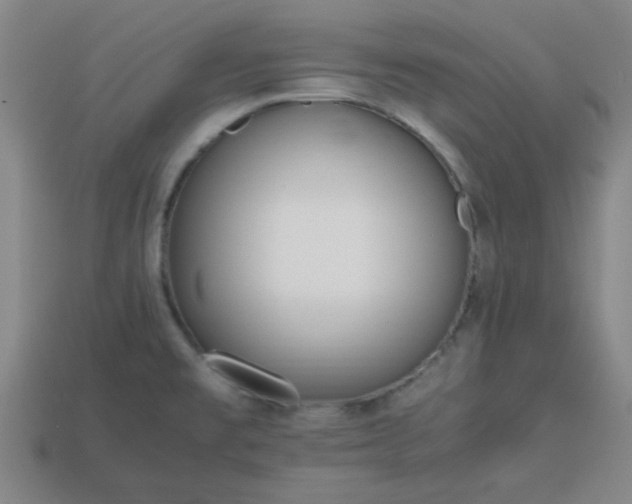 X0000113781477200910071213