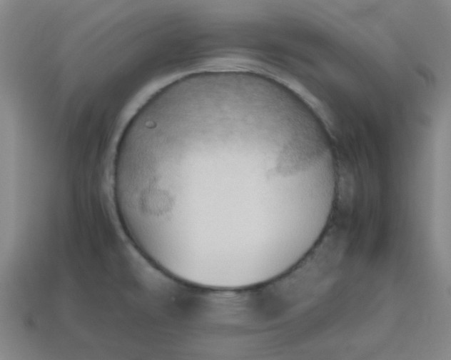 X0000113781478200910071213