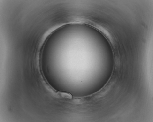 X0000113781480200910071213