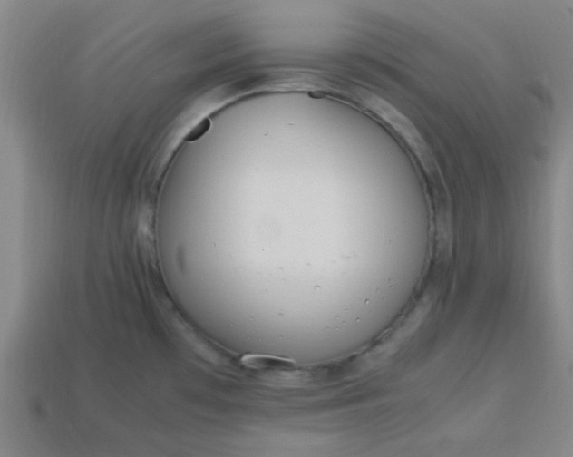 X0000113781481200910071213