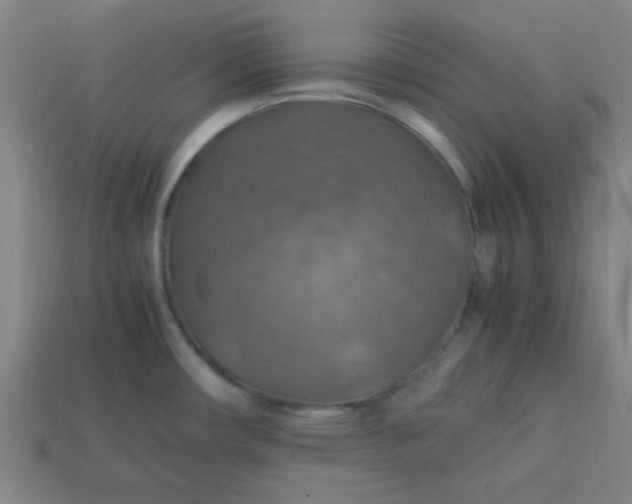 X0000113781482200910071213