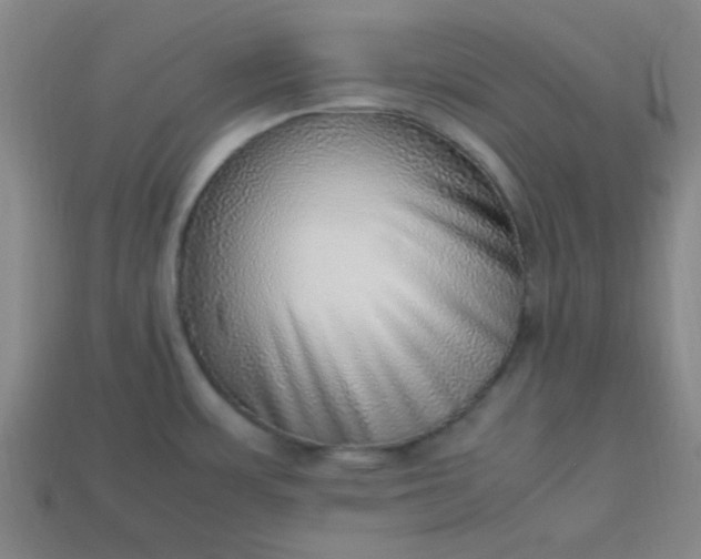 X0000113781483200910071213