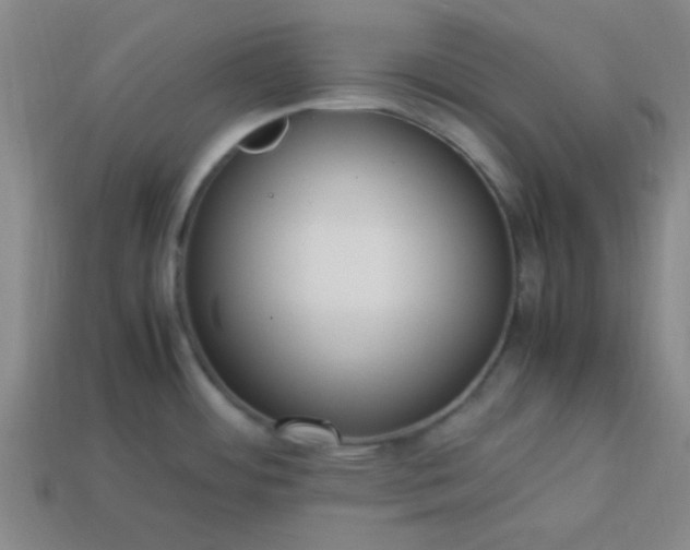 X0000113781484200910071213