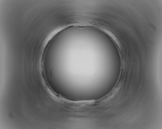 X0000113781485200910071213