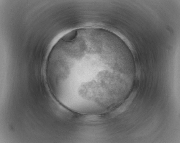 X0000113781486200910071213