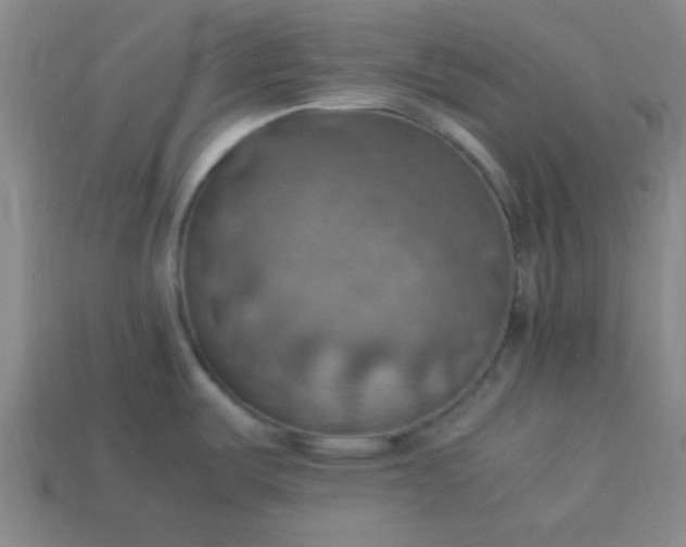 X0000113781487200910071213