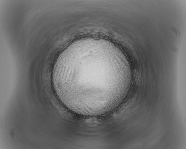 X0000113781489200910071213