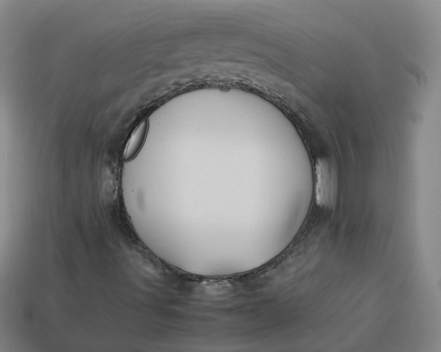 X0000113781491200910071213