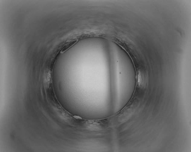 X0000113781492200910071213