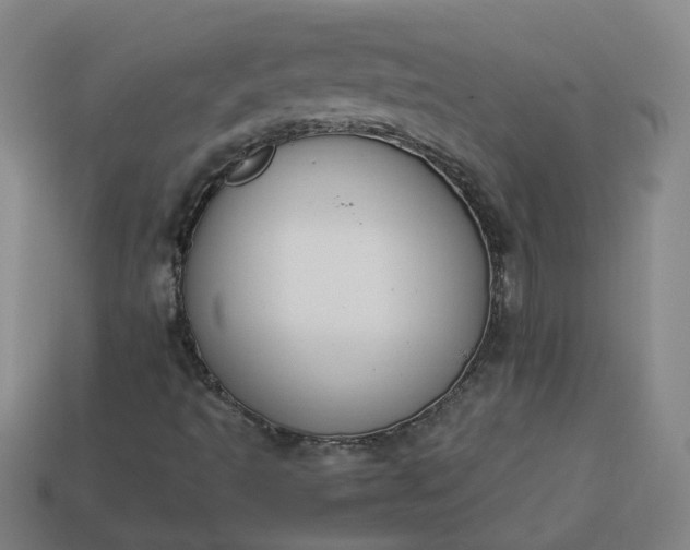 X0000113781493200910071213