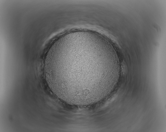 X0000113781494200910071213