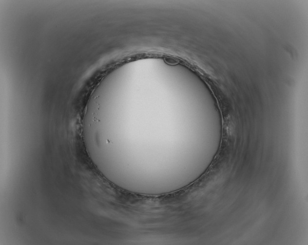 X0000113781495200910071213