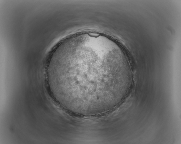 X0000113781496200910071213