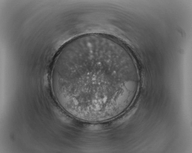 X0000113781497200910071213