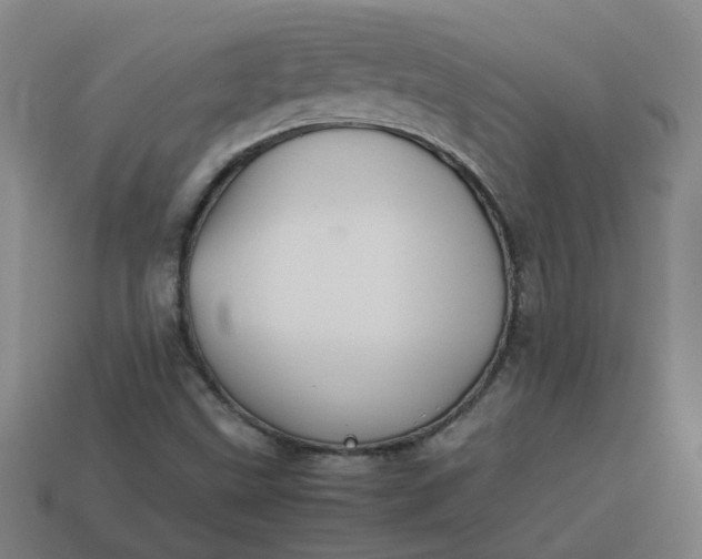 X0000113781499200910071213