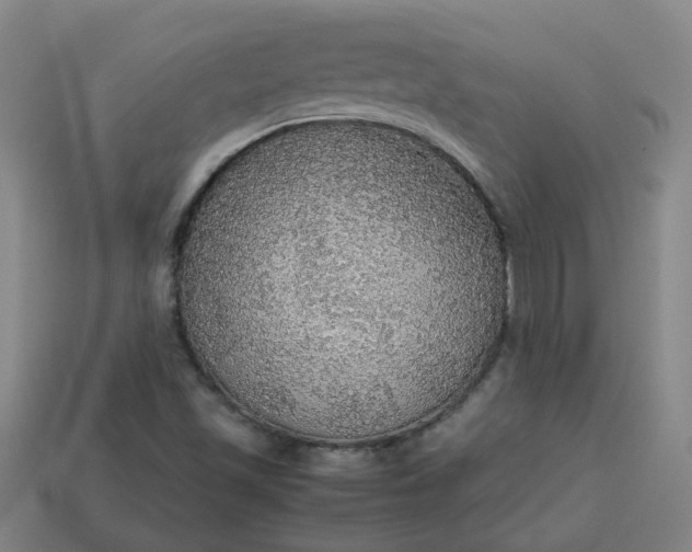 X0000113781501200910071213