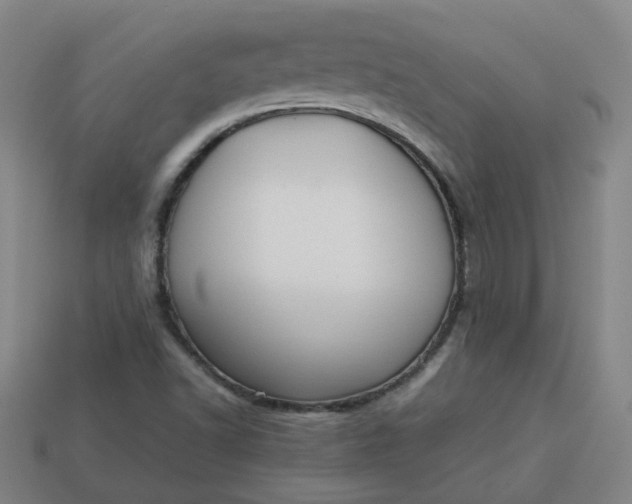 X0000113781502200910071213