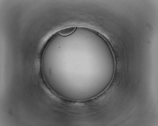 X0000113781503200910071213