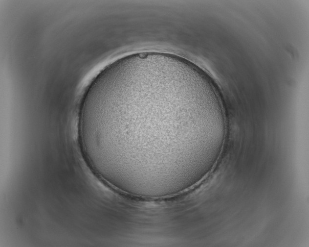 X0000113781504200910071213