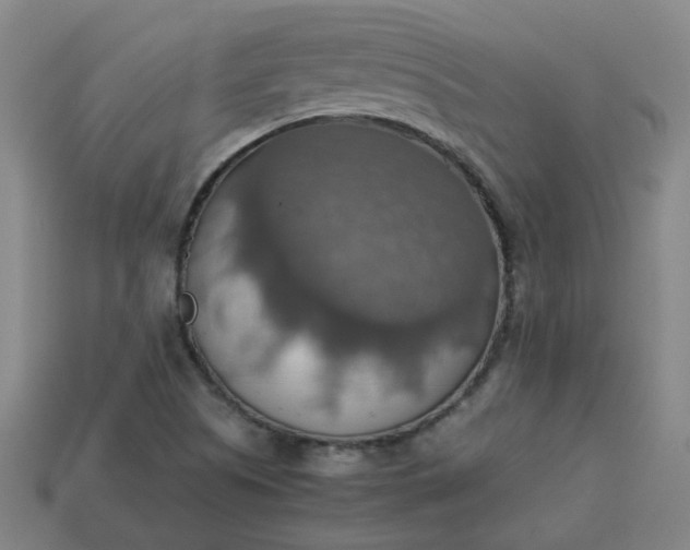 X0000113781505200910071213