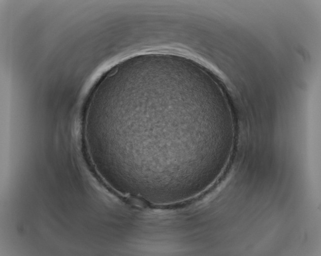 X0000113781506200910071213