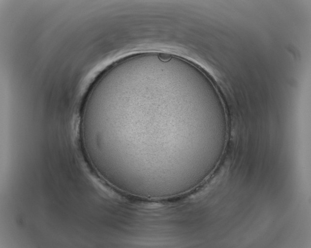 X0000113781507200910071213